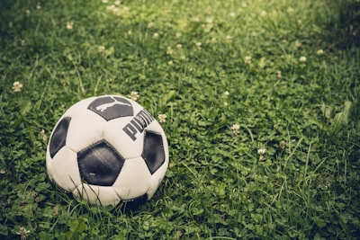 هداف الدوري المصري 2024 في الجولمن يتصدر سباق التهديف هذا الموسم؟